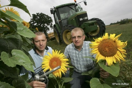 Paul-et-Vincent-Manicot-tournesol Paul et Vincent Manicot dans un champ de tournesol
