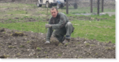 vincent-manicot-plantation-agroforesterie Vincent Manicot en pleine plantation