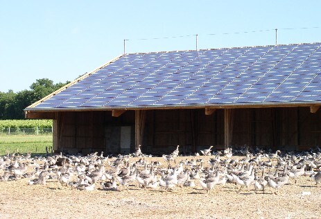 Vidéo sur le développement durable à la ferme Manicot