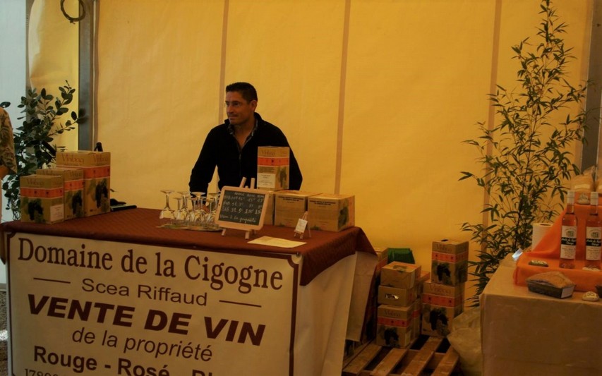 domaine-de-la-cigogne - Copie.JPG