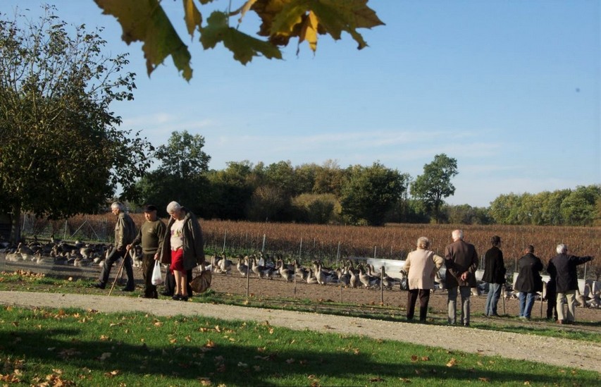 groupe-visite.JPG